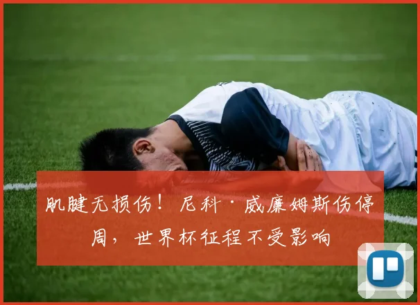 肌腱无损伤!尼科·威廉姆斯伤停三周,世界杯征程不受影响